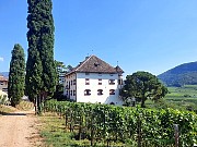 221  Castel Ringberg Winery.jpg
